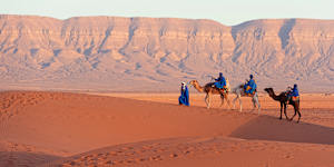 A camel caravan on the Sahara sands in Tunisia.