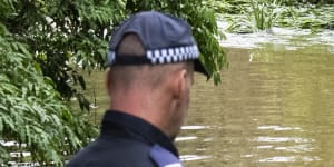 William Tyrrell search could take months as wet weather hampers investigation