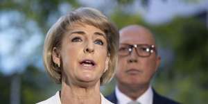 Michaelia Cash accused Attorney-General Mark Dreyfus of having “no idea” about the finer details of the Community Protection Board.