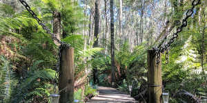 The Helios Society offers bushwalking opportunities.