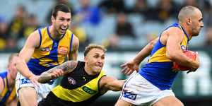 Working hard:Shai Bolton and Dom Sheed were prime movers at the MCG.