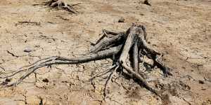 The exposed bed of the Ardingly Reservoir during England’s recent heatwave.