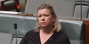 Liberal MP Bridget Archer 