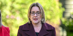 Premier Jacinta Allan announcing sweeping changes to planning laws.