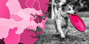 Almost half of Sydney’s council areas have more dogs than children.