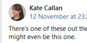 Ms Callan’s Facebook page from November 12.