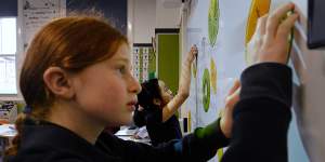 Year 3 students at Canterbury Public School during a maths lesson.