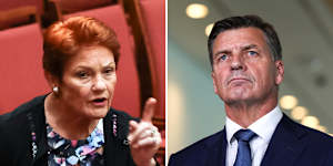 AFR COMPOSITE - Angus Taylor and Pauline Hanson. Photo:Alex Ellinghausen