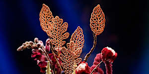 The MasterChef Australia grand final Pressure Test dessert:Botanical Garden by Miko Aspiras.