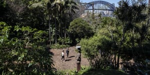 Summer in Sydney means ... the first mince pie,cicada trills and storms