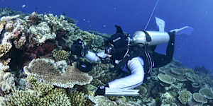 Australia’s bid to persuade the UN the Great Barrier Reef is doing better