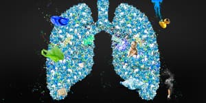 ‘One of the great human crises’:Warning after microplastics linked to lung,colon cancer