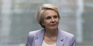 Environment Minister Tanya Plibersek can’t say when her “nature positive plan” will be completed.
