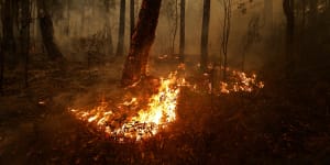 Fires burn in Australia during the black summer bushfires. 