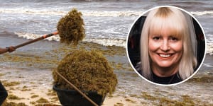 The Aussie tackling an ocean-spanning seaweed ‘monster’