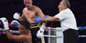Horn backs ‘full on’ Queenslander Liam Wilson for boxing boilover