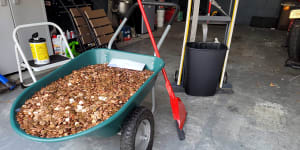 Coin converter honours pay cheque paid in pennies