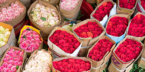 Roses at Ho Chi Minh’s vibrant Ho Thi Ky flower market.