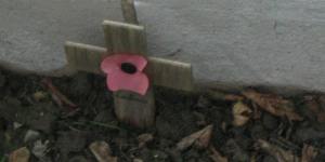 A poppy and cornflowers at VC Corner,a cemetery on the Western Front in 2010.