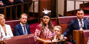 ‘We are not a separate entity,we are all just Australians’:Senator defends her opposition to the Voice