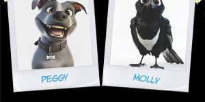 Government’s ‘please explain’ to Gold Coast magpie couple over animated series