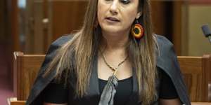 Green senator Lidia Thorpe,the party’s spokeswoman on First Nations issues,says the proposed Voice referendum is a “waste of money” and the funds could be better spent in Indigenous communities.