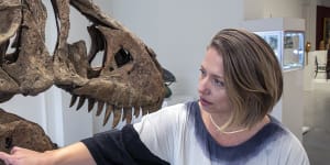 T. Rex skull sells for $6.1m at auction,well below estimates