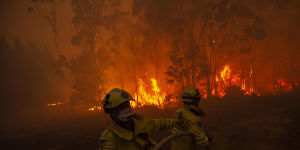 Firefighters battle a blaze near Mangrove Mountain in December. 