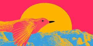 To enter Blackbird’s website,users zoom in through the eye of this bird and pass a wave of psychedelic shapes.