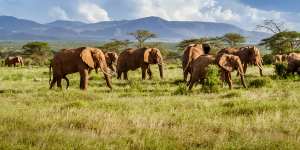 The landscape is not spectacular on this road,but the wildlife viewing is.