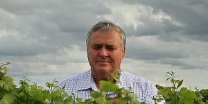 Winegrape grower and Riverina Winegrape chairman Bruno Brombal on his property in Hanwood,NSW.