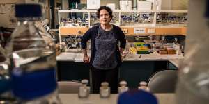Professor Jennifer Byrne,a cancer expert and research integrity sleuth at the University of Sydney.