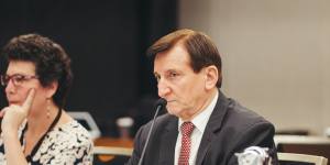 Local Government Minister Ron Hoenig has received legal advice against demergers.