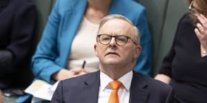 Prime Minister Anthony Albanese during question time this week.
