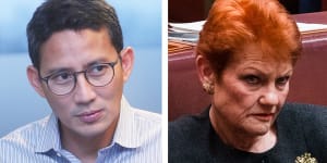 ‘Never insult Bali’:Indonesia minister slams Hanson over foot and mouth claims