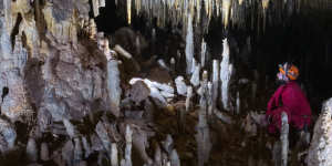 A dense ceiling of stalactites within an ancient cave on the Nullarbor Plain.