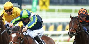 Tim Clark drives Eliyass away from rivals in the Lord Mayor’s Cup at Randwick in June.