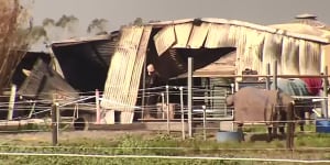 ‘Devastating news’:12 horses die in blaze at harness racing stable