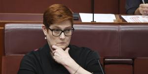 Minister for Women Marise Payne said sexual harassment was a “whole of Australia workplace issue”. 