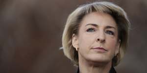 Small Business Minister Michaelia Cash is under pressure on franchising. 