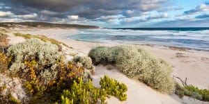 Kangaroo Island,South Australia:The best of Australia,all in one place