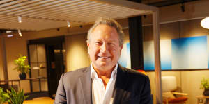 Twiggy Forrest’s Minderoo helps local publishers strike Google deal