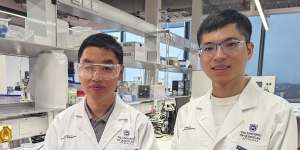 University of Queensland researchers Professor Xiwang Zhang and Dr Zhuyuan Wang published their work in the journal Nature Communications.