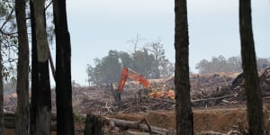 WA environment watchdog to scrutinise Alcoa’s jarrah forest mining