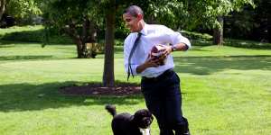 President Barack Obama plays football with the family dog Bo on the South Lawn of the White House in 2009.