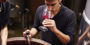 A beginner's guide to making your own wine