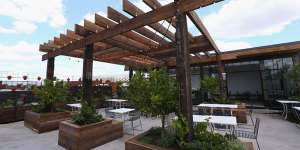 The Cellar Door's rooftop garden.