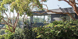 Trees and shrubs are living,growing things. For some home owners,that’s the problem.