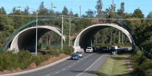 The “smart mammal bridge” over Compton Road,Queensland.