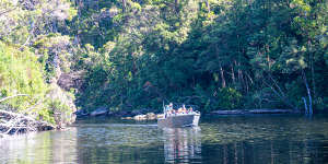 Exploring the Davey River Gorge.